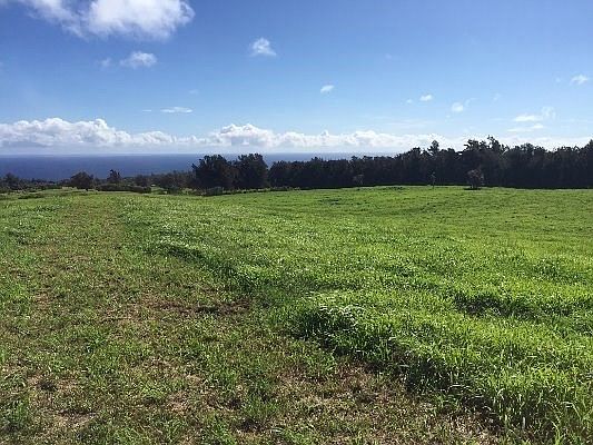1st image of Lot 13
