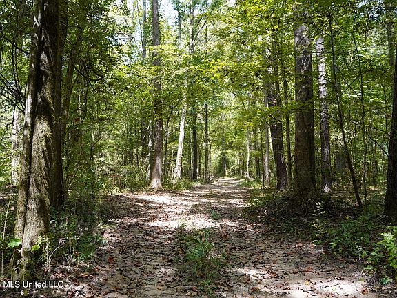2nd image of McIntyre Rd