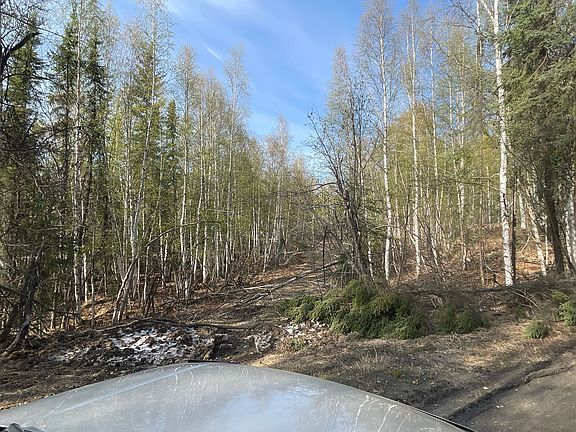 3rd image of 840 Crazy Horse Way