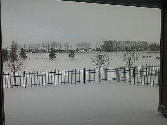 Back Yard View In Winter