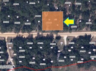 226 Duncan Ave, Interlachen, FL 32148