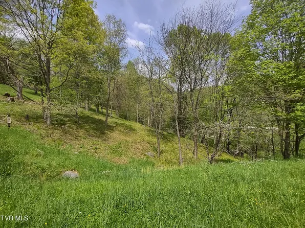 0 Brittany Ln, Gate City, VA 24251