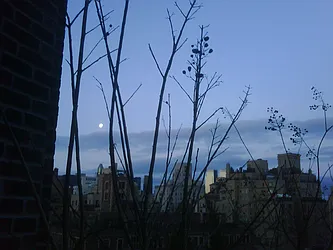 Rented by Maria Buncick Fine Properties, LLC