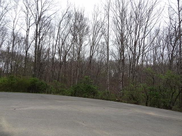 2nd image of 0 Eugene Ct Lot 8