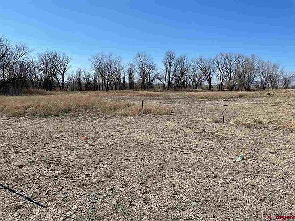 5th image of 1001 N Highway 50 Business Loop