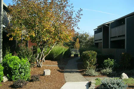 Timber Creek Village — Photo 18