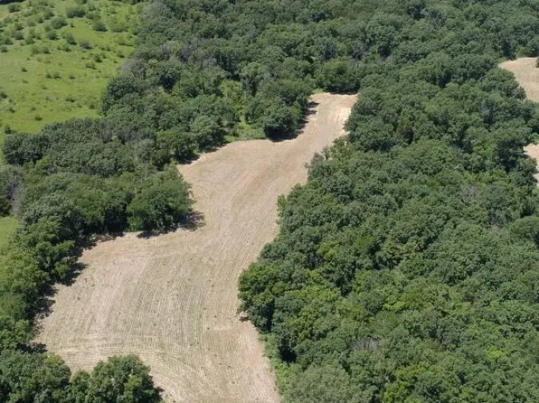 1951AC County Road 313, Fayette, MO 65248
