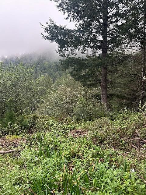 1st image of 225 Nob Hill Rd