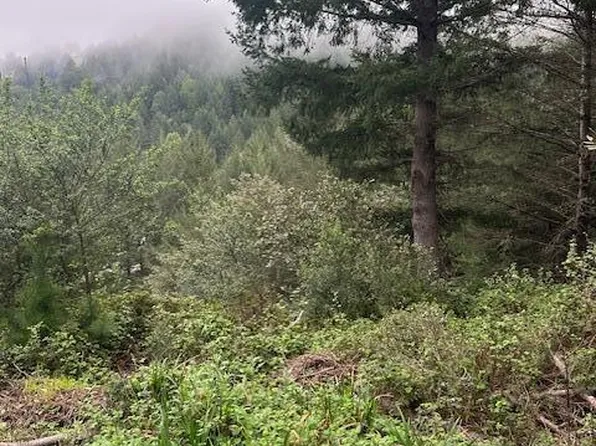 225 Nob Hill Rd, Whitethorn, CA 95589