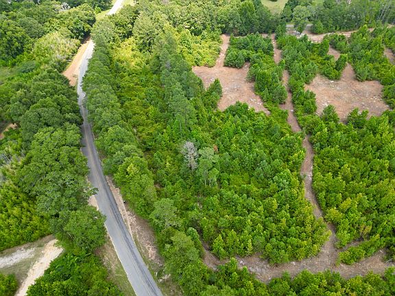 2nd image of 1 County Road 1174