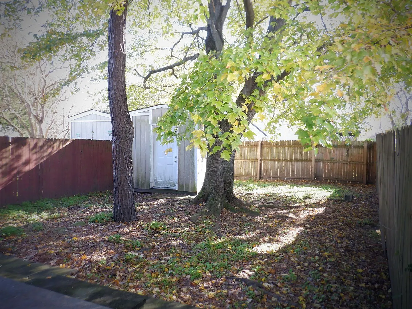 Berkley — Photo 2