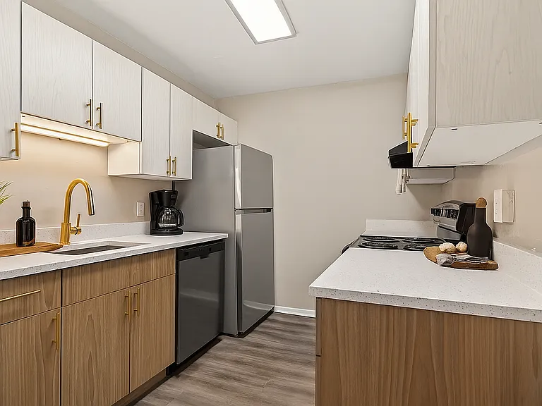 Modern galley kitchen with gold accents