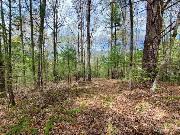 Saluda NC Land & Lots For Sale - 21 Listings | Zillow