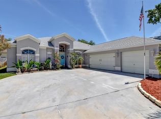 1295 Blackrush Dr, Tarpon Springs, FL 34689