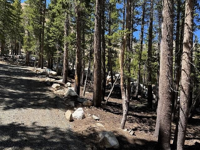 2nd image of 0 Lodgepole Dr
