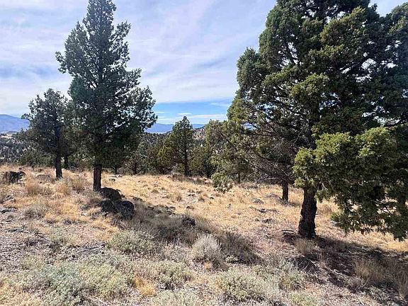 2nd image of 236 & 237 Stone Crest Dr