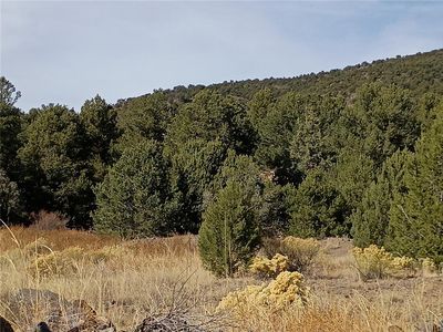 118 Porcupine Rd, Cotopaxi, CO, 81223