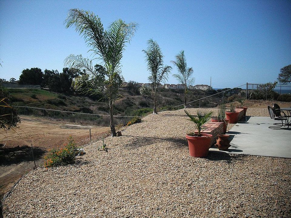 back yard SW view