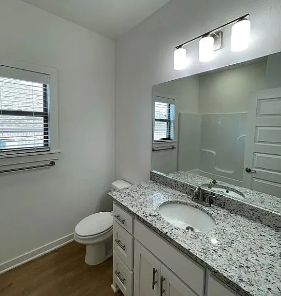 Hall Bathroom Downstairs