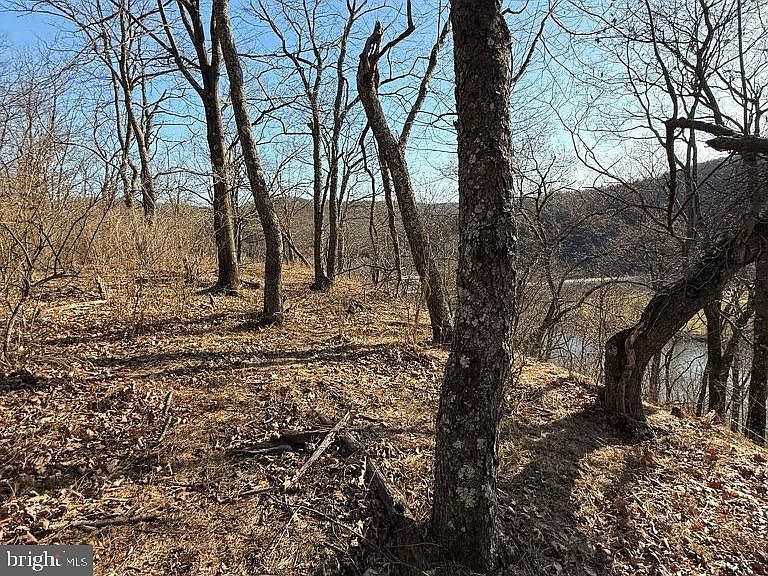 2nd image of 10254 Swains Hill Rd