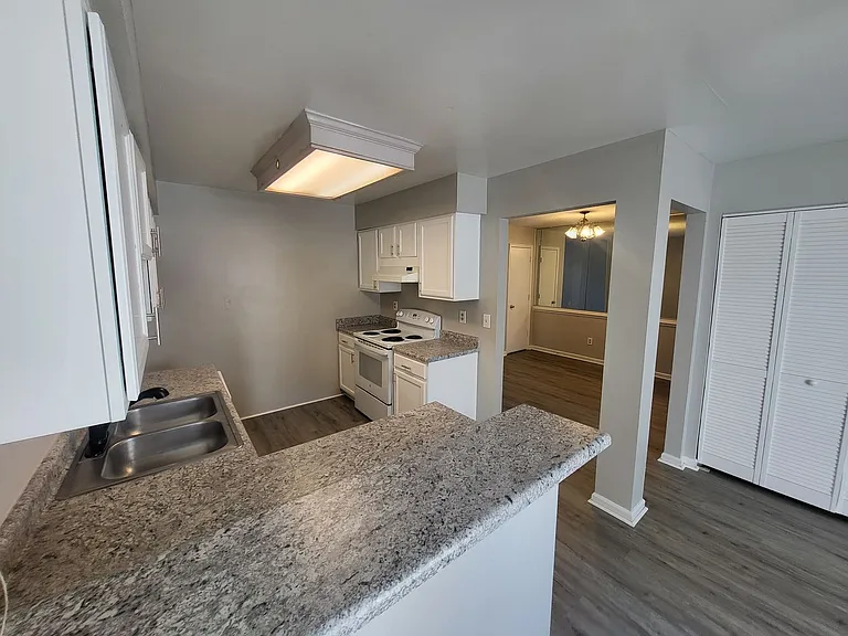 1119 Shoal Creek Trl — Photo 6