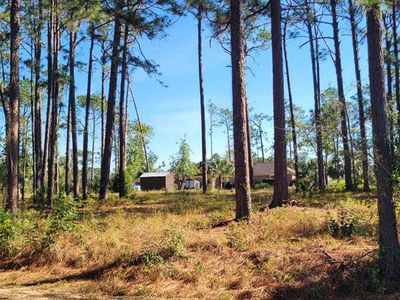 0 Dogwood Ave, Douglas, GA, 31533