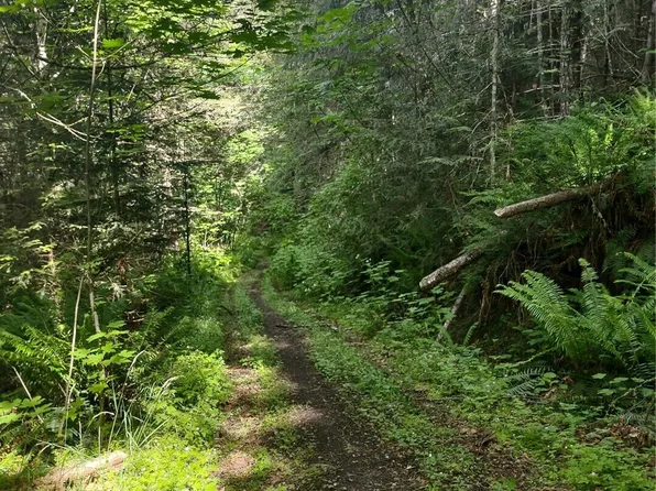 0 Hansen Road, Port Angeles, WA 98363