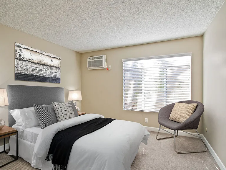 Magnolia — Photo 25