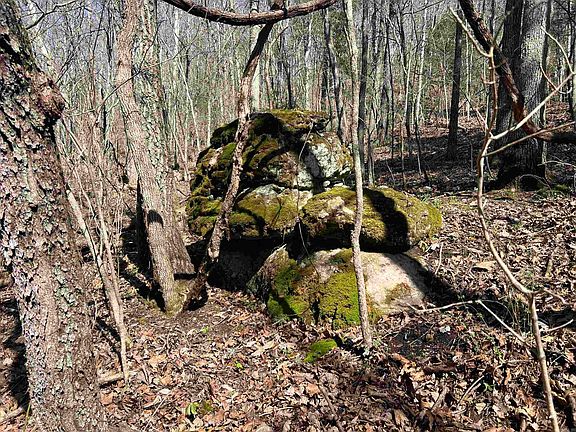 5th image of 4411 Red Bluff Rd