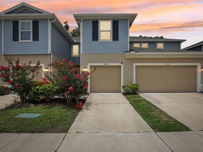 2154 Laceflower Dr, Brandon, FL, 33510