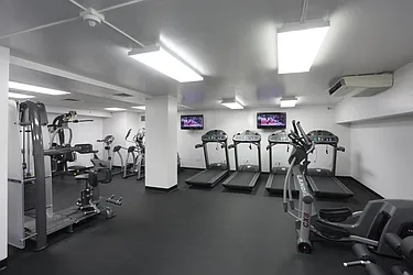 Rented by Manhattan Skyline