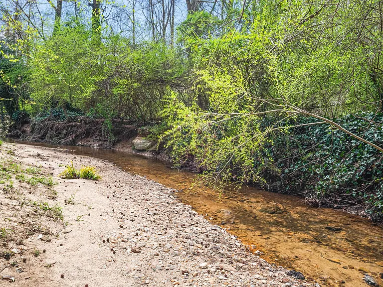 Private tributary located in the backyard.