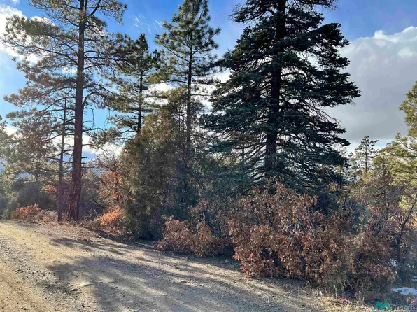 1781 Road, Chama, NM 87520