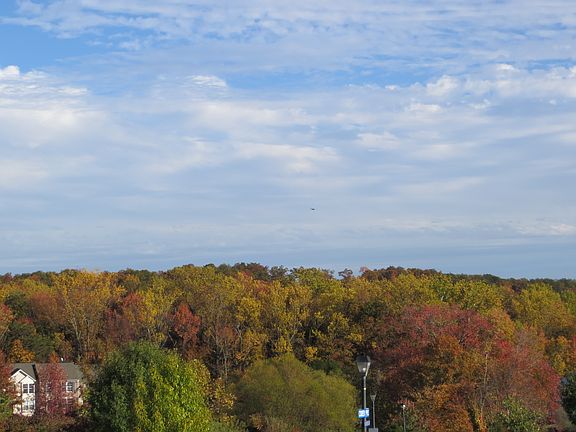 Fall season view from deck