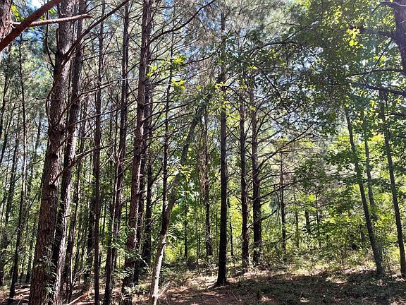 Homesite with timber 