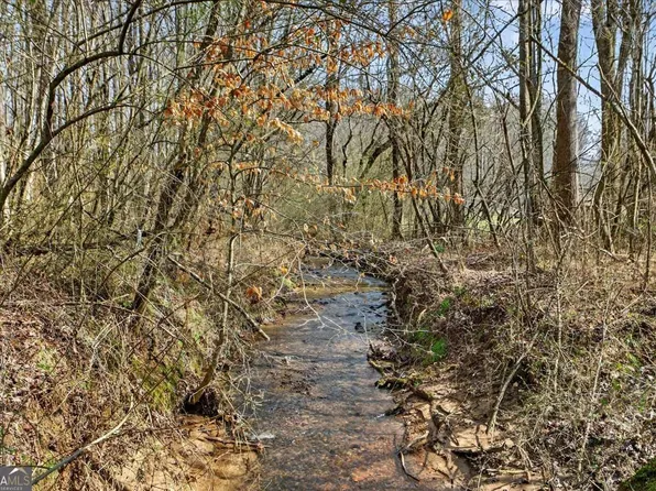 1614 Roy Rd, Ellijay, GA 30536