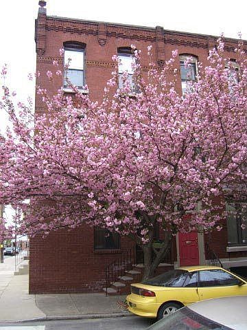 Front entrance for apartment