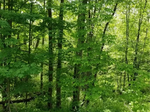 0 Gale Rd #2, Cleveland, NY 13042