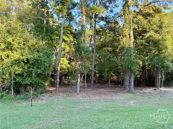 0 Friendship Road, Sylvania, GA 30467