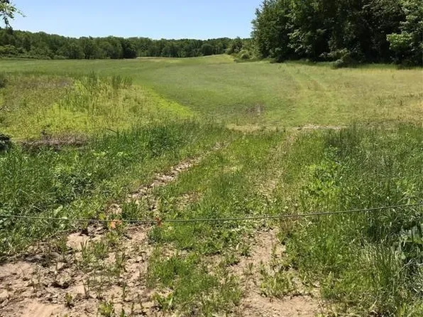 9375 Lahring Rd, Gaines, MI 48436