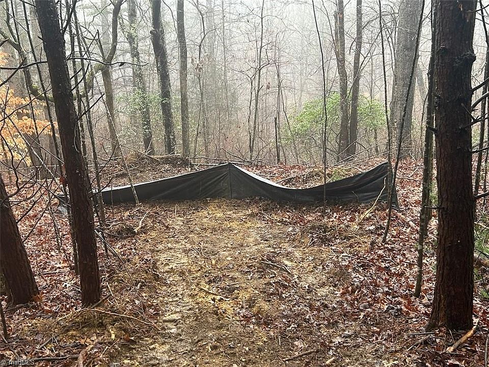 2nd image of 0 Whitaker Chapel Rd Tract 1