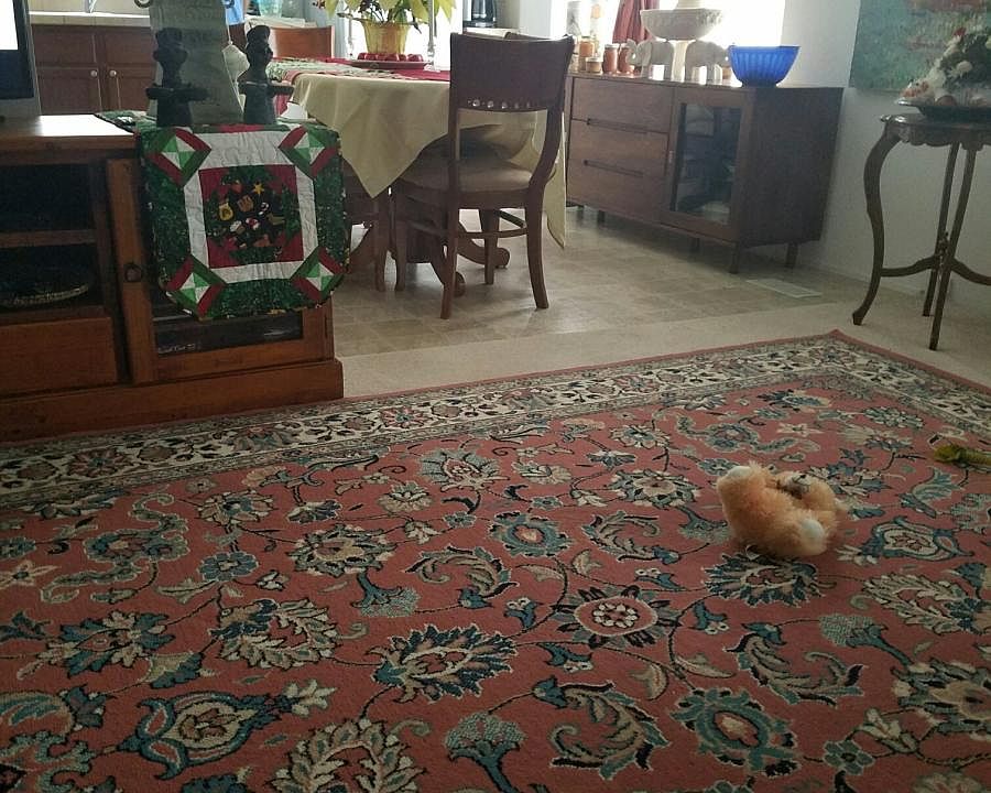 Kitchen dining & living room