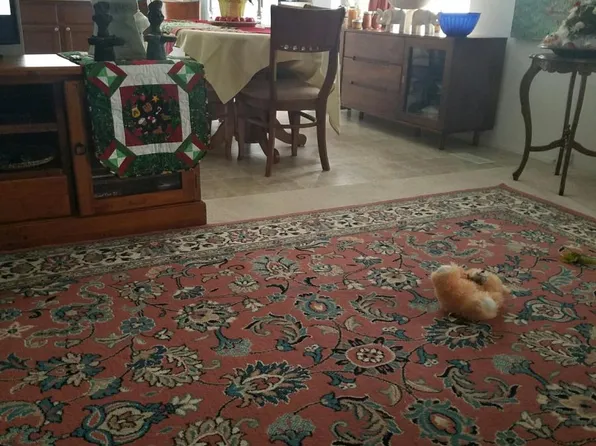 1033 Clatsop St, Vernonia, OR 97064