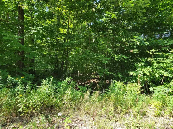 Vl Beechnut Ln Lot 223, Wolverine, MI 49799