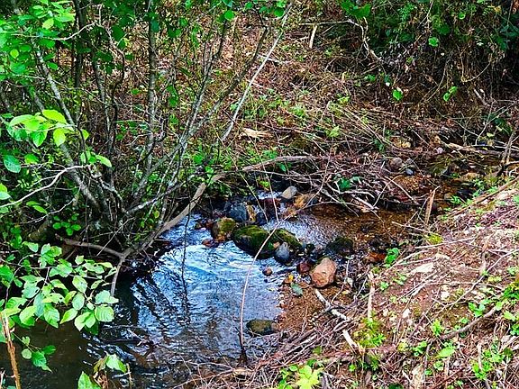 2nd image of Smith Landing Ln