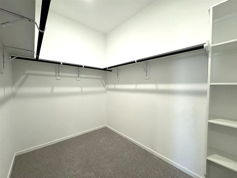 26606 Foxtail Fern Dr — Photo 19