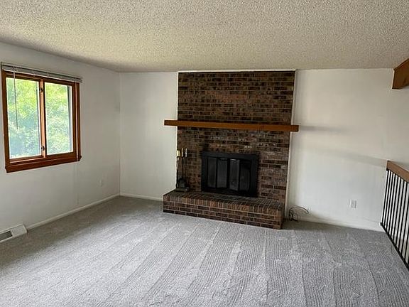Wood burning Fireplace