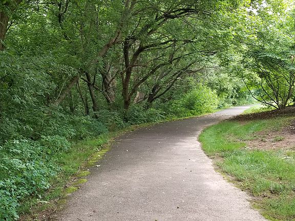 Walking path by the house