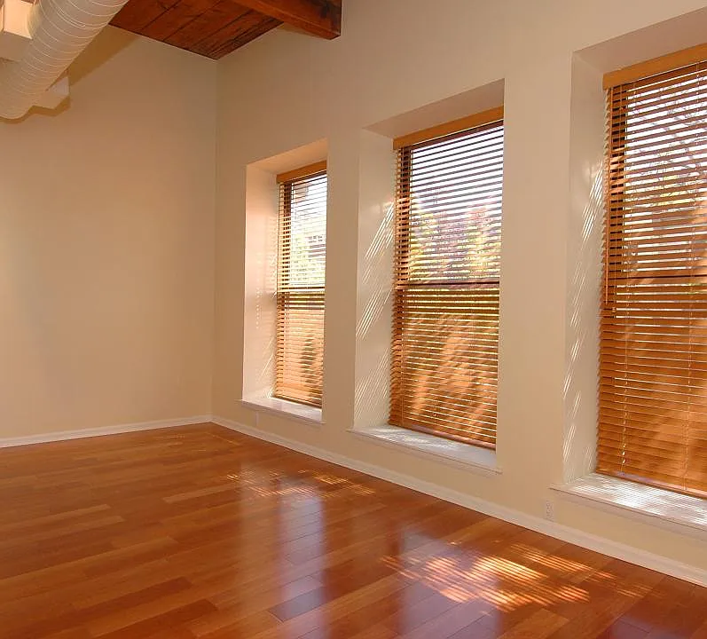 Living Room / Dining Area