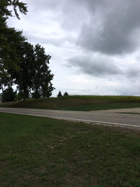 2nd image of 0 N Fowlerville Rd